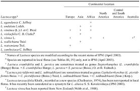 Image result for Lactuca lasiorhiza