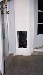 Check spelling or type a new query. Hale Pet Door Custom Orders