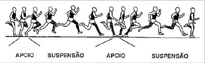 Jan 12, 2005 · como ficou patente, a performance em termos de salto vertical é uma das características fundamentais do voleibol, sendo um jogo de carácter explosivo e dinâmico, onde os saltos verticais são. Atletismo
