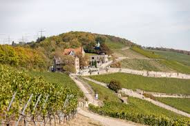Unser wertvollster schatz sind die einzigartigen weinlagen, allen voran der in der weltbekannten, muschelförmig über würzburg thronenden weinlage würzburger stein. Steinburg Fotogalerie Schloss Steinburg