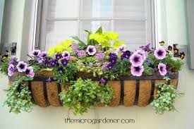 Check spelling or type a new query. Ten Tips For Creating Beautiful Gardens The Micro Gardener