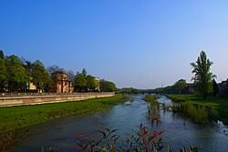 Image result for Emilia tenellula