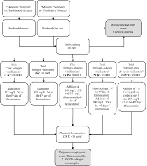 Flow Diagram Of Winemaking Processes Download Scientific