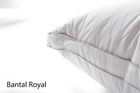Bantal bulu angsa akan mengejutkan anda dengan harga yang menyenangkan dan pilihan yang bagus. Feather World Pillow Royal 70 Goosedown Bantal Bulu Angsa Royal Terbaru Juli 2021 Harga Murah Kualitas Terjamin Blibli