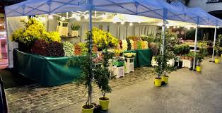 Kevin Fleuriste Au Marche Du Centre Maisons Alfort Shopping