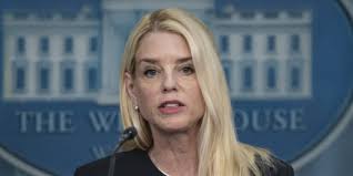 Heroic pilot Tammie Jo Shults opens up about deadly midair incident