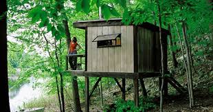 Stiles Cabin House On Stilts Tiny House Cabin Backyard Buildings