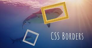 Example of adding a circle border to the image:¶ Css Borders 7 Examples