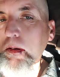 Cows escaped to front of house