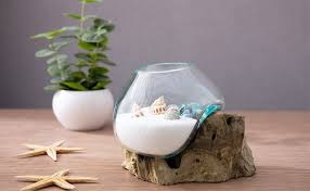 The ee20 engine had an aluminium alloy block with 86.0 mm bores and an 86.0 mm stroke for a capacity of 1998 cc. Terrariums Mygift Mini Natural Driftwood Molten Glass Bowl Tabletop Plant Terrarium Patio Lawn Garden