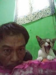 My cat the Abu..is in style with my husband..my cat style is cute..💕