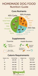 10 Best Dog Food Nutrition Infographics Ever Made Make