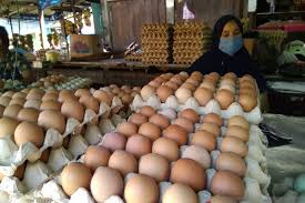 Saat ini, harga telur ayam memang terus merangkak naik. Harga Telur Ayam Ras Di Makassar Bergerak Turun Jelang Ramadhan 1442 H Antara News Makassar