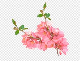 Maybe you would like to learn more about one of these? Printing Etsy Art Creativity Peach Blossoms Flower Arranging Branch Artificial Flower Png Pngwing