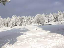 Was bei der einreise nach deutschland zu beachten ist, und wann test bzw. Wetter In Deutschland Schnee Eisige Kalte Und Sturmboen Dwd Warnt Teils Gefahrlich Glatt Welt