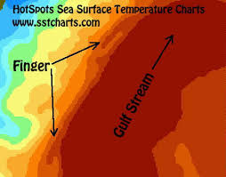 How To Use Hotspots Charts Llc Sea Surface Temperature