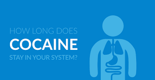 Blood testing can also detect cocaine, but it is rarely used in practice. How Long Does Cocaine Stay In Your System Adt Healthcare