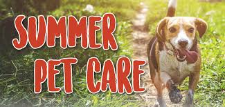 Lincoln square veterinary hospital offers advanced, comprehensive, and compassionate veterinary care to the dogs and cats of new york's premier residential area. Woof Dog Care Center Strictly Business Magazine Lincoln