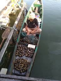 Pasar tani terapung pengkalan datu cuti chinese new year orang sangat pack sampai tak boleh nak buat apa. Pasar Tani Terapung Di Sungai Pengkalan Datu Jadi Tarikan Pengunjung Ke Kota Bharu Libur
