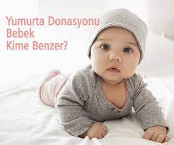 yumurta donasyonu bebek kime benzer