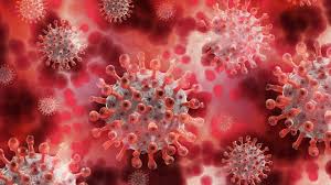Jun 26, 2021 · llega una nueva variante preocupante del coronavirus: Variante Lambda Del Coronavirus Fue Detectada En Japon Poco Antes De Los Jjoo 06 08 2021 Sputnik Mundo