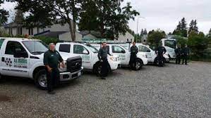 Call us for the elimination of, and further protection from ants, termites,fleas, spiders, bed bugs. General Pest Control All Seasons Pest Control