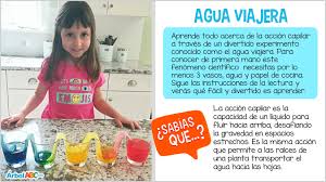 Experimentos sencillos de química en la cocina. Experimento Del Agua Viajera Arbol Abc