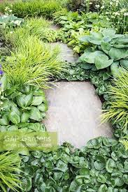 Pin Von Anochka Hessajon Auf Inspiration Planting Garten Bepflanzen Blattpflanzen Bepflanzung