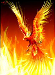 Most recently, jk rowling wrote of a phoenix owned by dumbledore, which, much like the legend, burst into flames and becomes a baby. Up The Phoenix No Ordinary Bird Writer Side Up