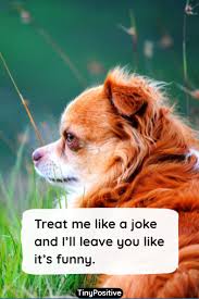 76 Funny Quotes To Make You Laugh Short Funny Sayings And Quotations Tiny Positive Funny Quotes Funny Images With Quotes Funny Minion Memes