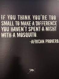 Digg Reader Manage And Read Your Rss Feeds African Quotes Proverbs Quotes Words