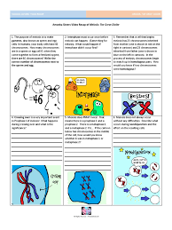 Het=heterozygoe, gives one can and one can't allele. Video Recap Of Meiosis By Amoeba Sisters Final