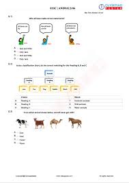 science olympiad worksheets for class 1 pdf animals worksheets for class 1 exam papers math olympiad