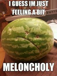 Melon Punpedia Great valentine gift for him or for her. melon punpedia