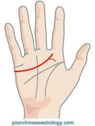 что означают линии на ладони простым и доступным языком Palm Reading Heart Line Love Line Chinese Palmistry Palmistry Palm Reading Palm Reading Charts