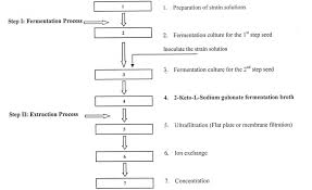 vitamin c l ascorbic acid