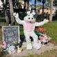 Bay Port Egg Hunt event in Tampa, FL