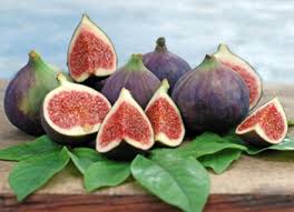 La dieta del gruppo sanguigno a del dott. La Dieta Del Gruppo Sanguigno 0 Dieta Gruppo Sanguigno