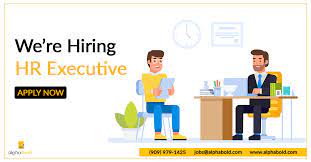 Job Alert Hr Executive Do You Have What It Takes To Become A Boldenthusiast Apply Now What We Offer Market Compet Medical Insurance Job How To Apply