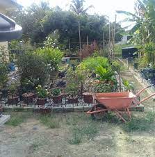 Untuk melepas penat setelah bekerja seharian tempat yang paling cocok adalah berkumpul di suasana yang asri, sejuk dan segar. Kebun Belakang Rumah Photos Facebook
