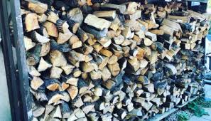 You'll need to begin gathering the smaller wood. Firewood In Burlington Spring Man Canada Inc