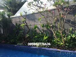 Tukang Taman Murah Taman Pondok Tanaman Dan Warna Air