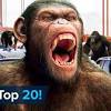 When it comes to action movies, this rule reigns supreme, perhaps more so than any other genre. 1