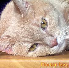 Check spelling or type a new query. Cara Menghilangkan Bau Kencing Kucing