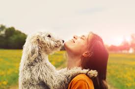 Whether you have a pet emergency or need a specialist in veterinary cardiology, dermatology, internal medicine, oncology, ophthalmology, radiology or surgery, pet emergency treatment and specialties is here for you. Emergency Hospital Pet Emergency Treatment And Specialties