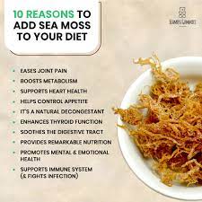 Check spelling or type a new query. Sea Moss Commonly Referred To As Irish Moss In The Caribbean Is One Of The Most Powerful Healthy Digestive Health Seamoss Benefits