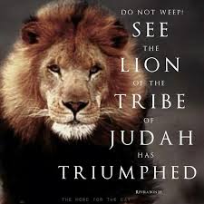 Hallelujah To The King Of Kings Lion Bible Verse Lion Of Judah Lion Of Judah Jesus