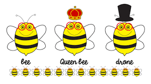 Check out everything queen bee's has to offer! Farming And Beekeeping Blog The Bees The Workers Of The Sky