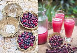 The scientific name of phalsa is grewia asiatica. Falsa Brings Immense Relief To Heat Stricken People