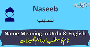 What is the meaning of 'nasib' in english? Naseeb Name Meaning In Urdu Ù†ØµÛŒØ¨ Naseeb Muslim Boy Name